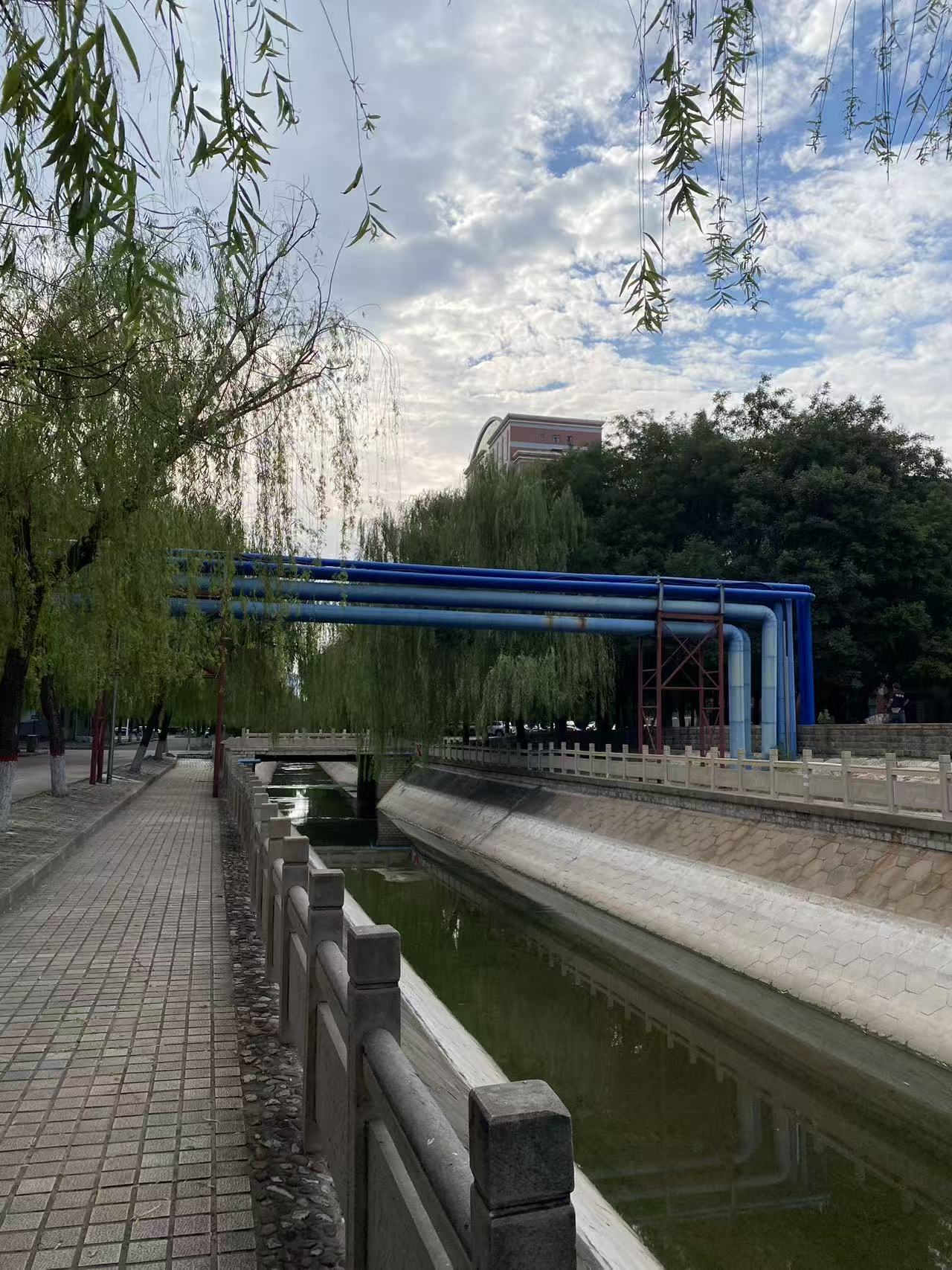 邢台学院校园美景 2