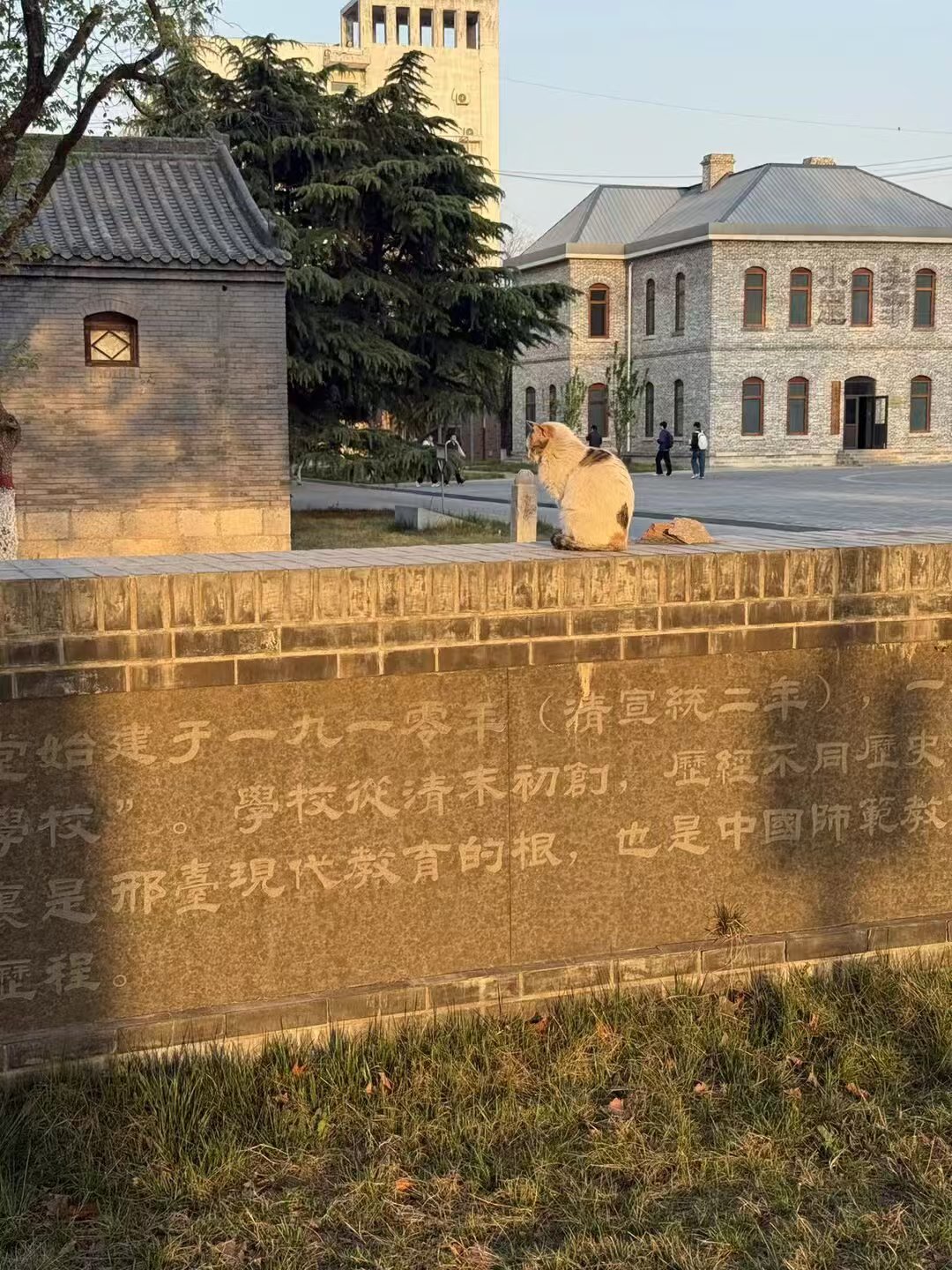 邢台学院校园美景 6