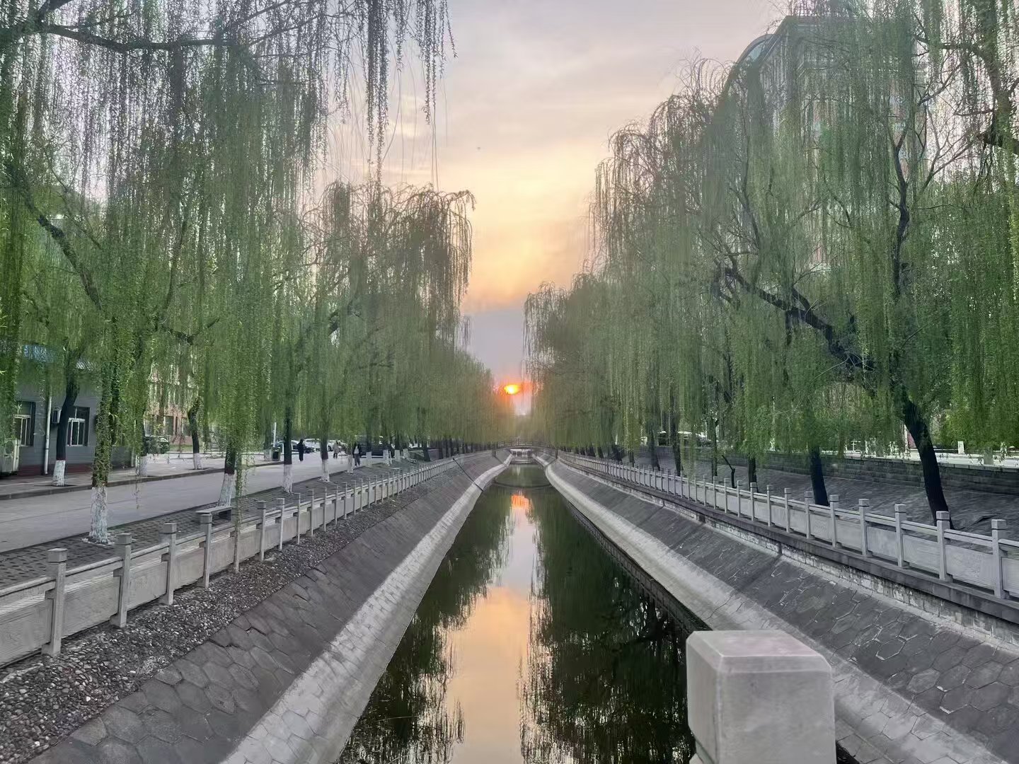 邢台学院校园美景 7