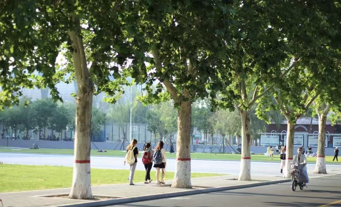 邢台学院校园美景 41