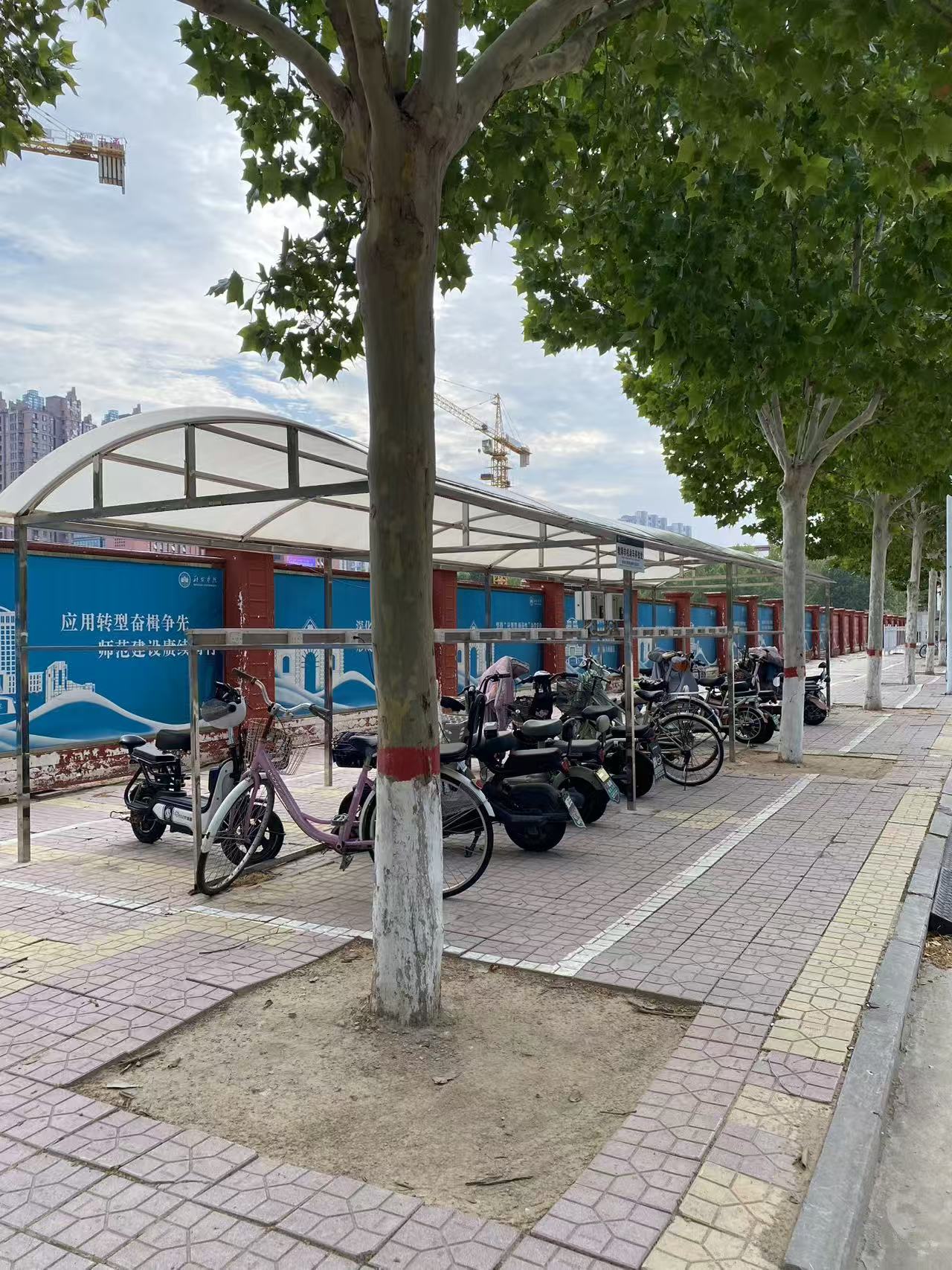 邢台学院校园美景 42