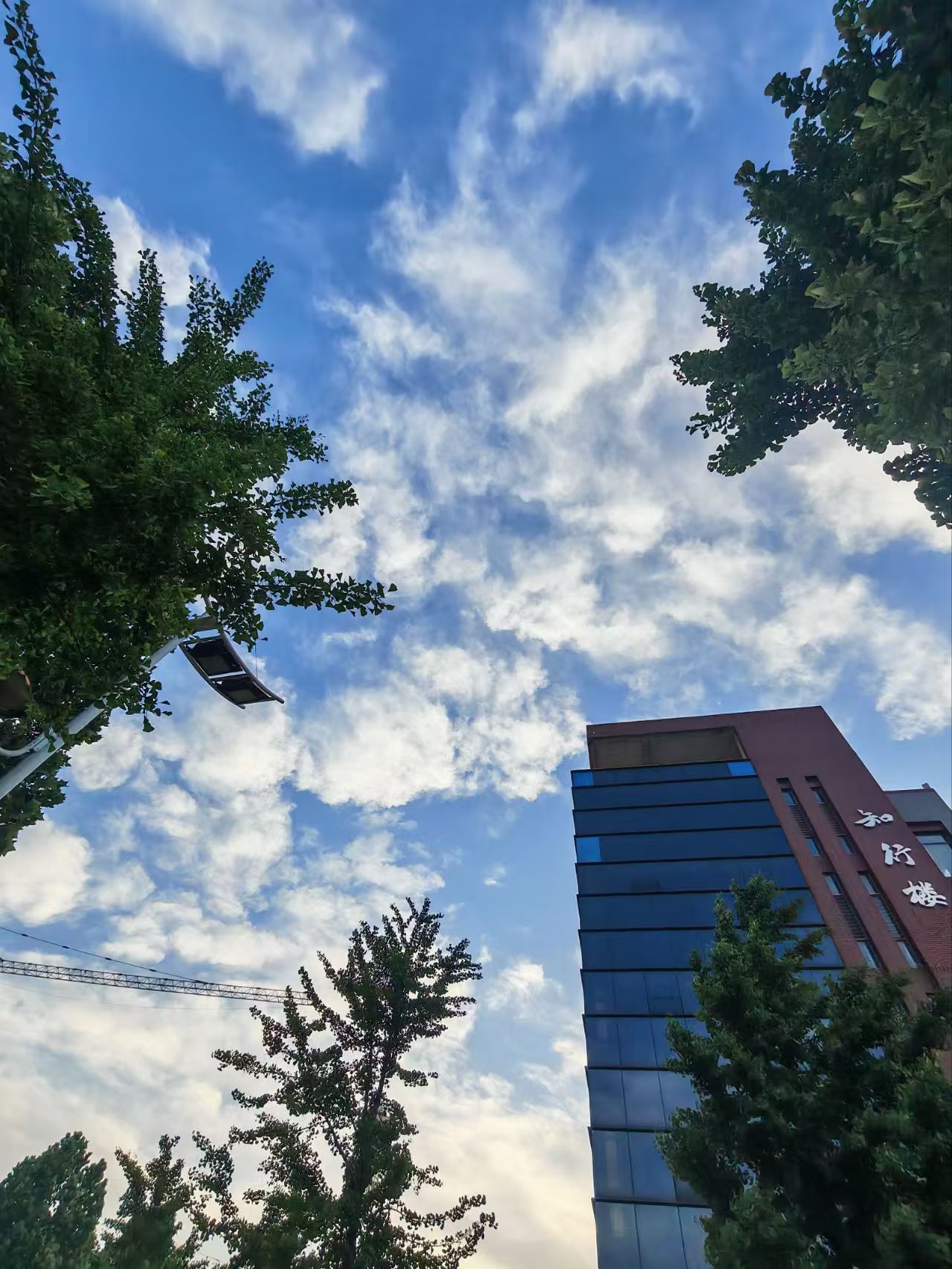 邢台学院校园美景 43