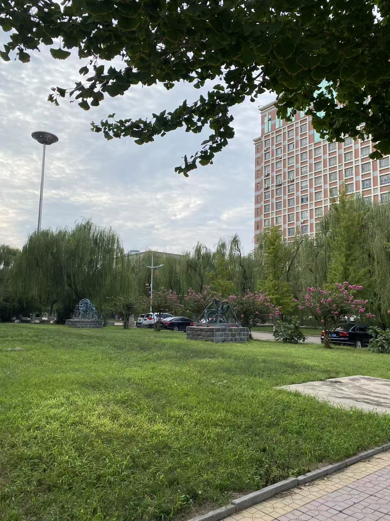 邢台学院校园美景 47
