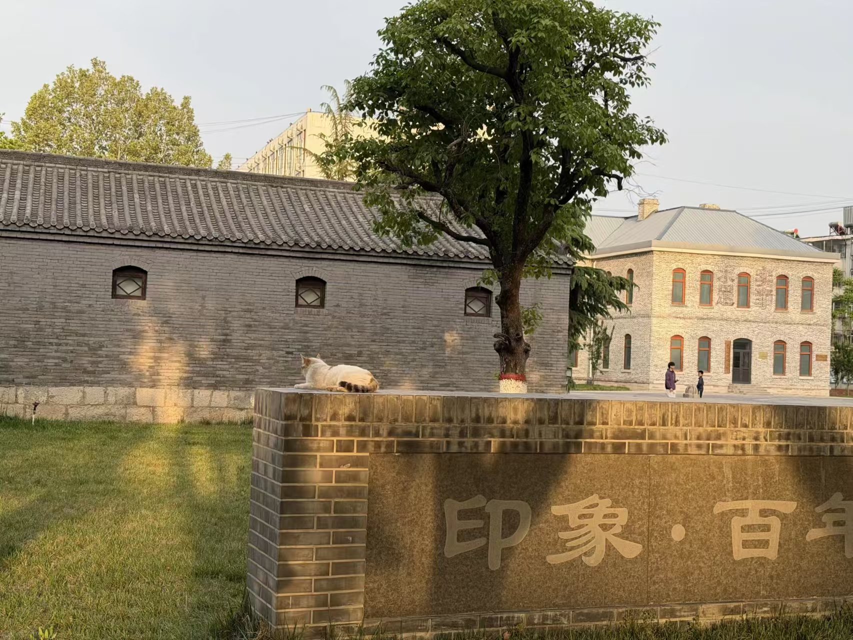 邢台学院校园美景 53