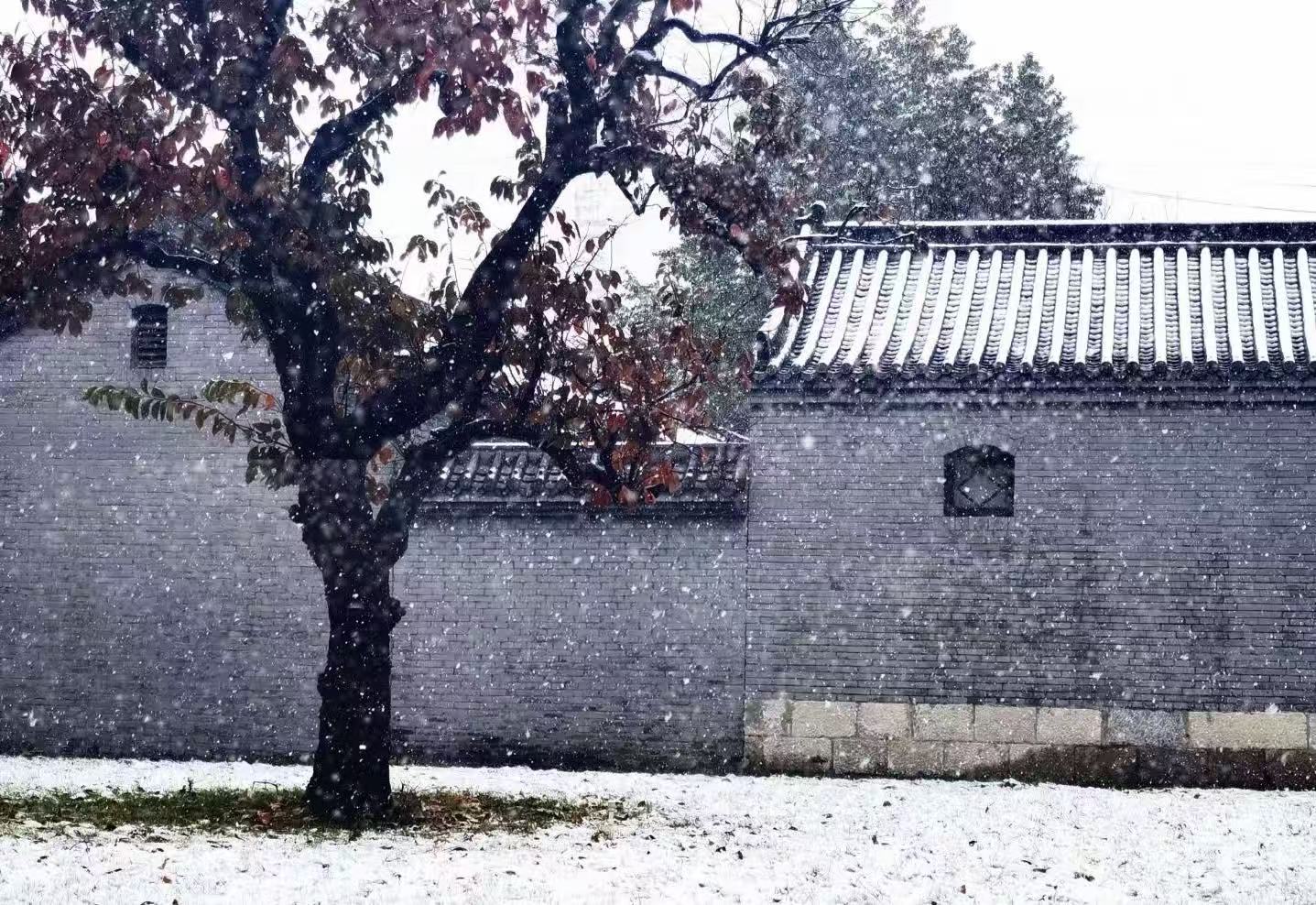 邢台学院校园美景 54