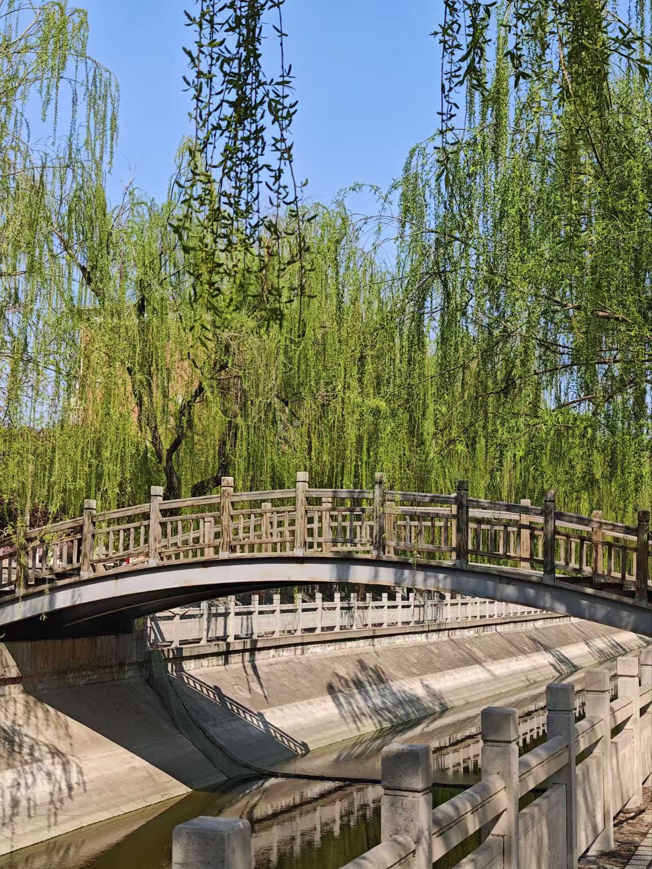 邢台学院校园美景 55