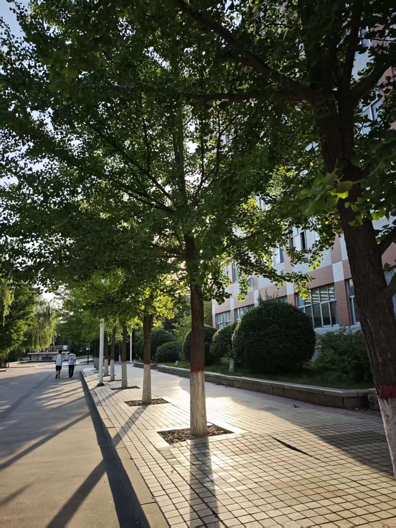 邢台学院校园美景 56