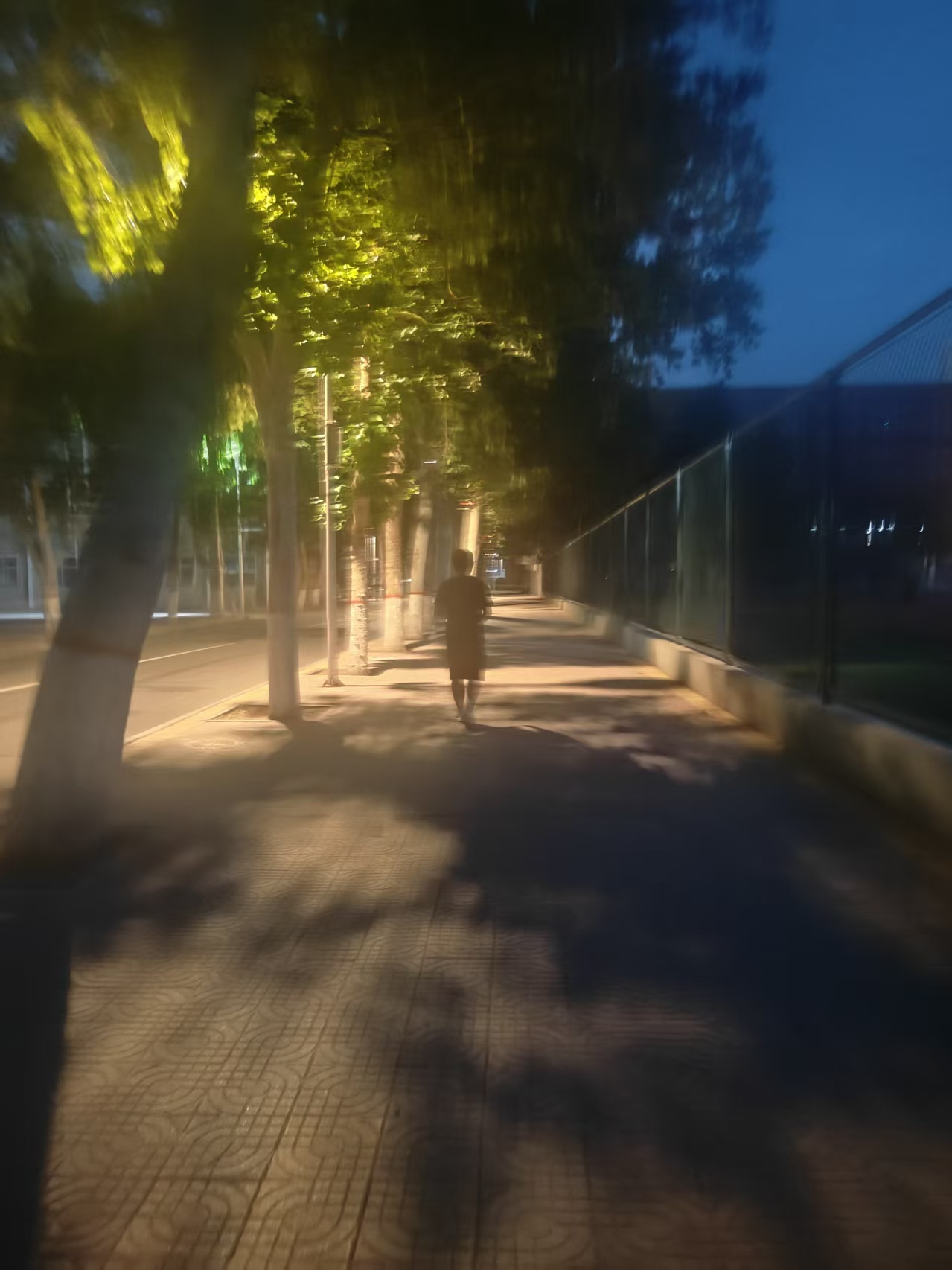 邢台学院校园美景 59