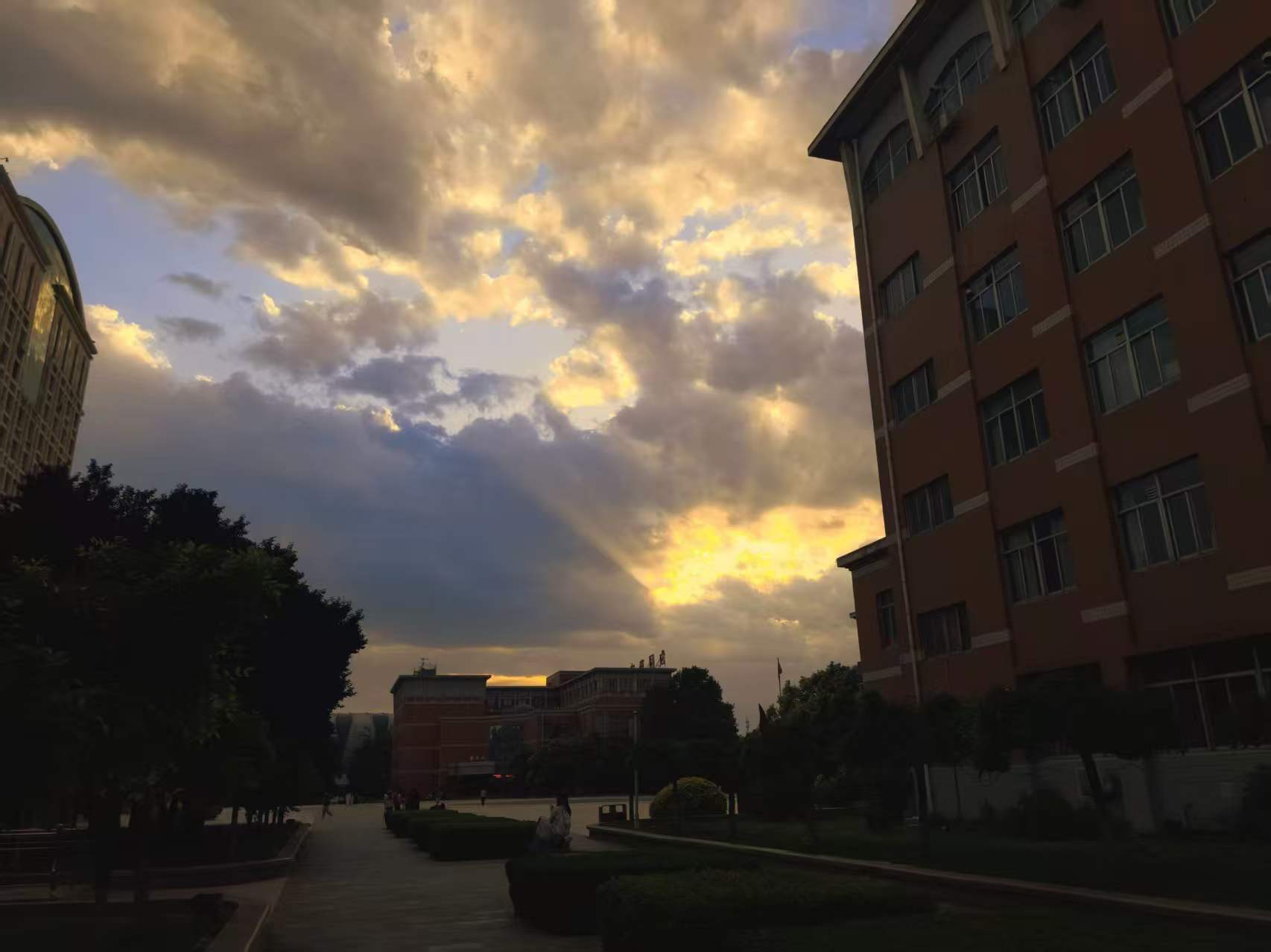 邢台学院校园美景 67