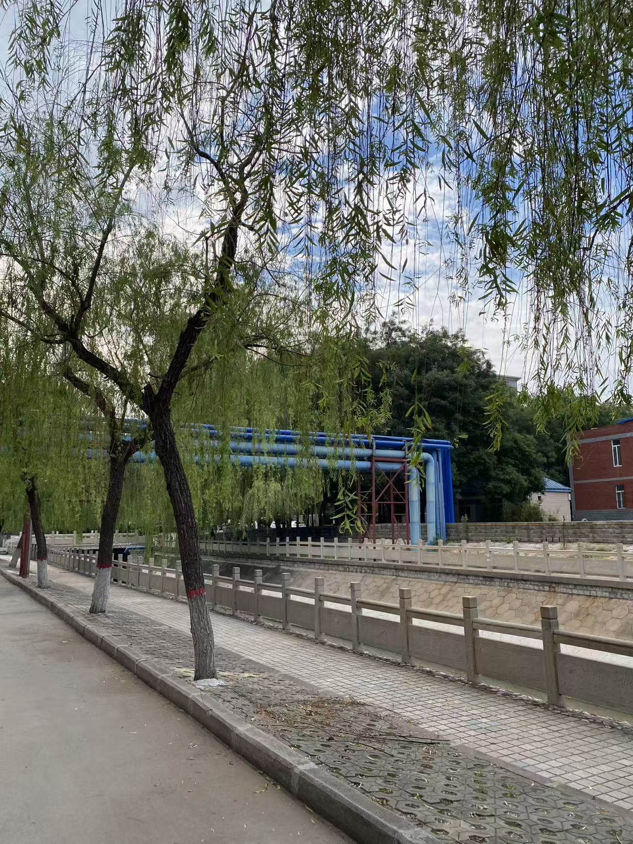 邢台学院校园美景 69